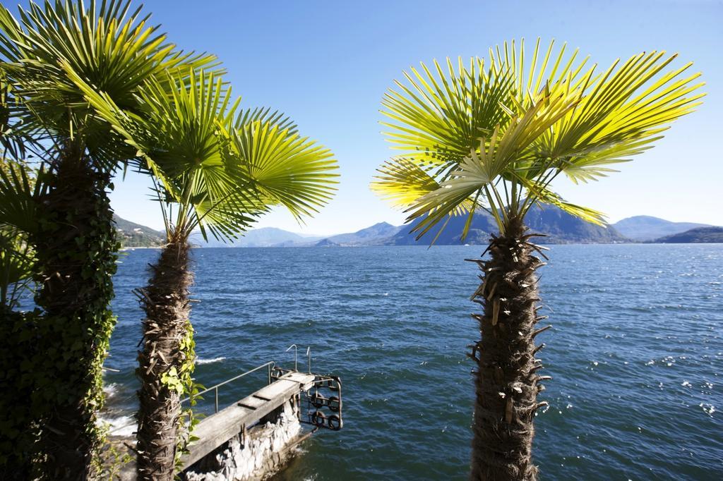 Villa Camelia Verbania Dış mekan fotoğraf